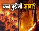 क्यों नहीं बुझ रही उत्तराखंड की आग, 1 हजार हैक्टेयर जंगल खाक, 5 की मौत